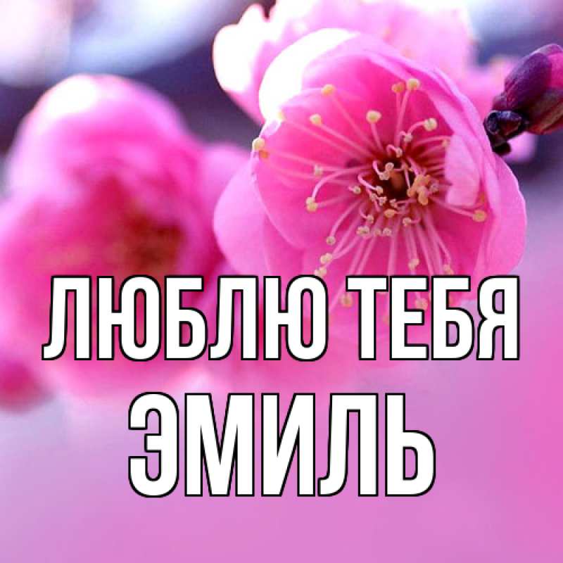 Картинка Люблю тебя, Эмиль