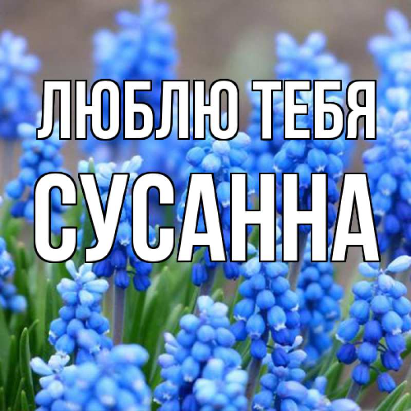 Открытка с именем, Сусанна, Люблю тебя