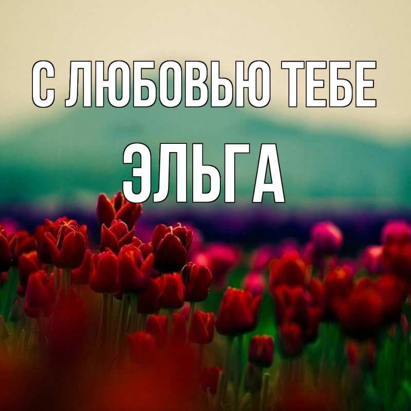 Картинка С любовью тебе, Эльга