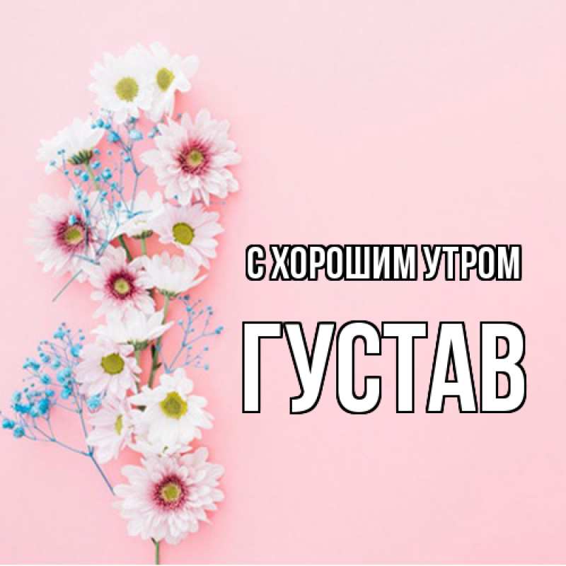 Картинка С хорошим утром, Густав