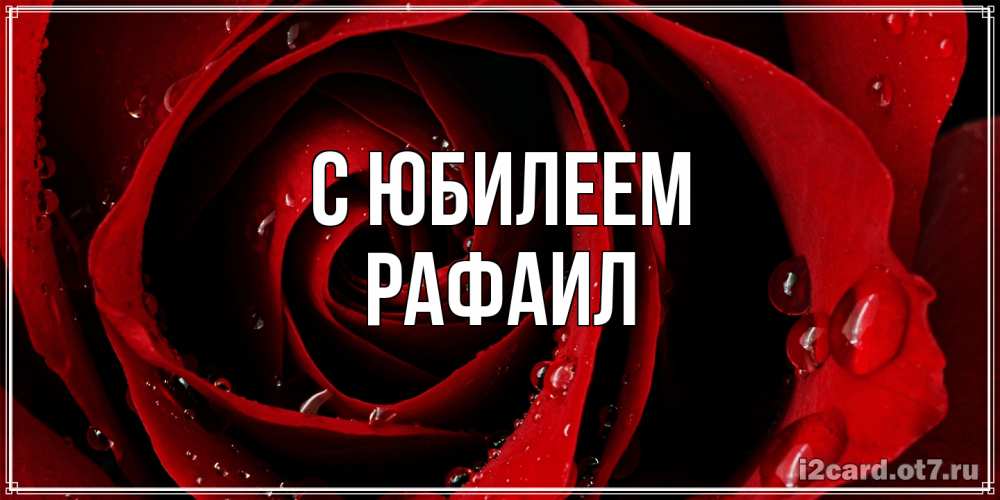 Открытка на каждый день с именем, Рафаил C юбилеем крупная бордовая роза Прикольная открытка с пожеланием онлайн скачать бесплатно 