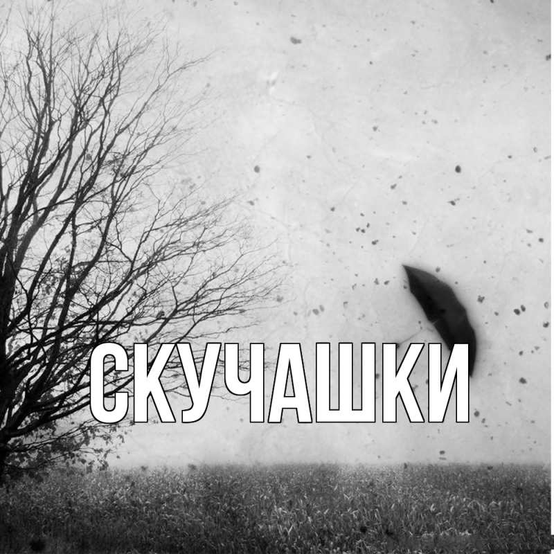 Картинка Скучашки, 