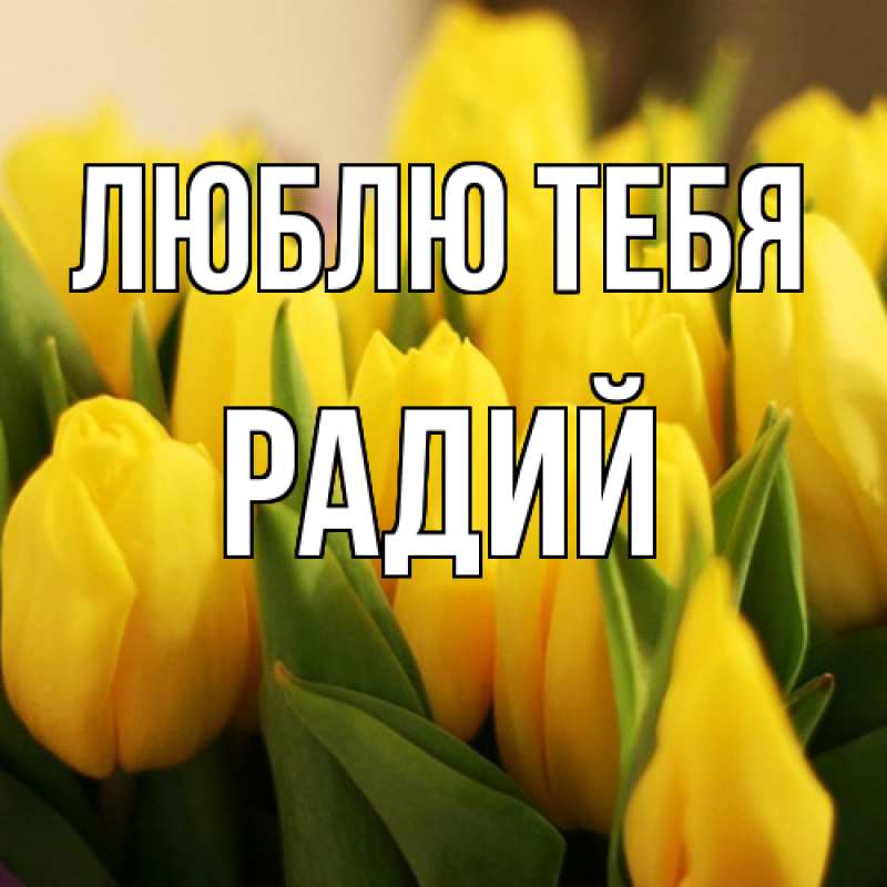 Картинка Люблю тебя, Радий