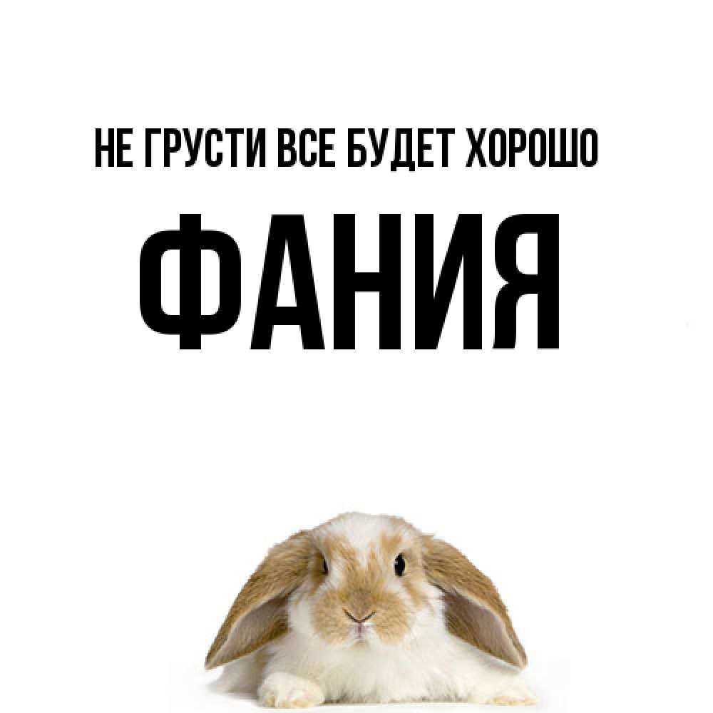 Открытка на каждый день с именем, Фания Не грусти все будет хорошо коричнево белый заяц с большими ушками Прикольная открытка с пожеланием онлайн скачать бесплатно 