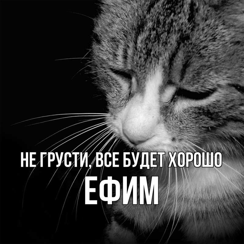 Открытка с именем, Ефим, Не грусти, все будет хорошо