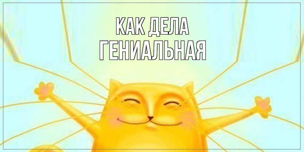 Открытка на каждый день с именем, Гениальная Как дела кот Прикольная открытка с пожеланием онлайн скачать бесплатно 