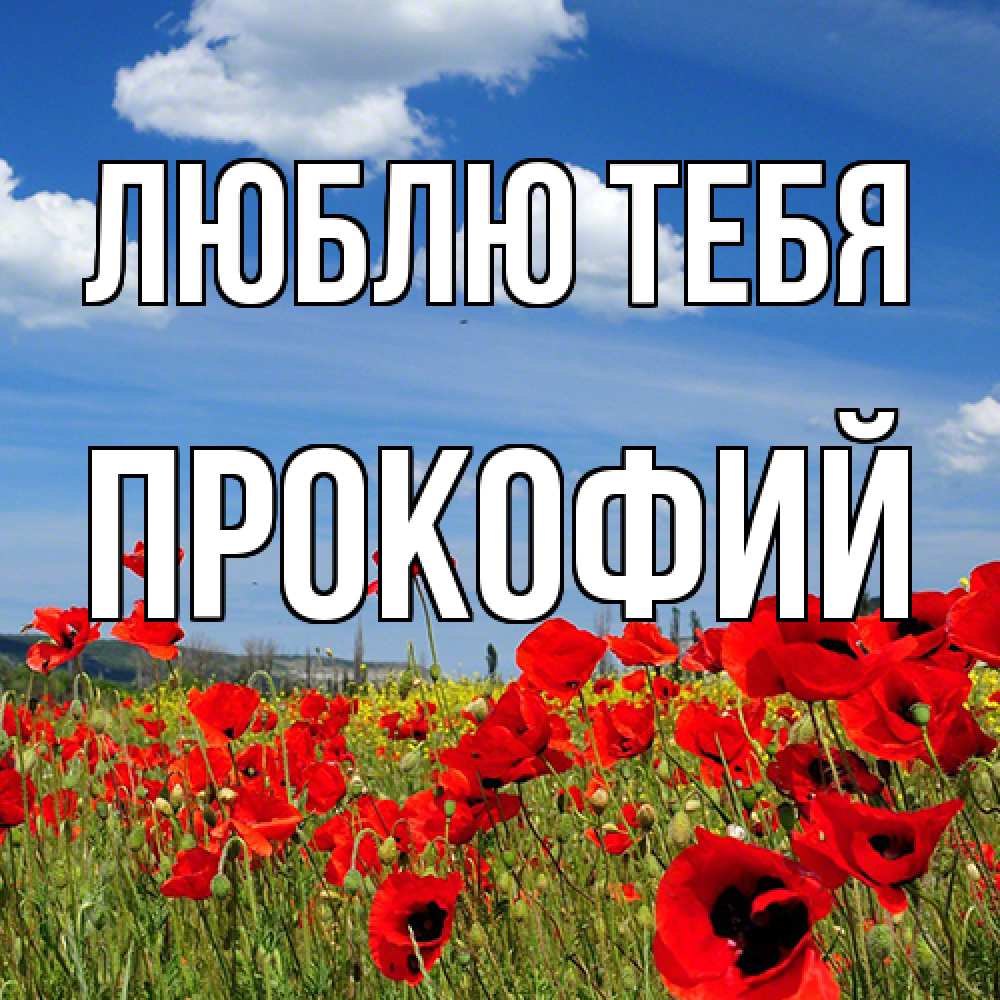 Открытка на каждый день с именем, Прокофий Люблю тебя международный женский день 1 Прикольная открытка с пожеланием онлайн скачать бесплатно 