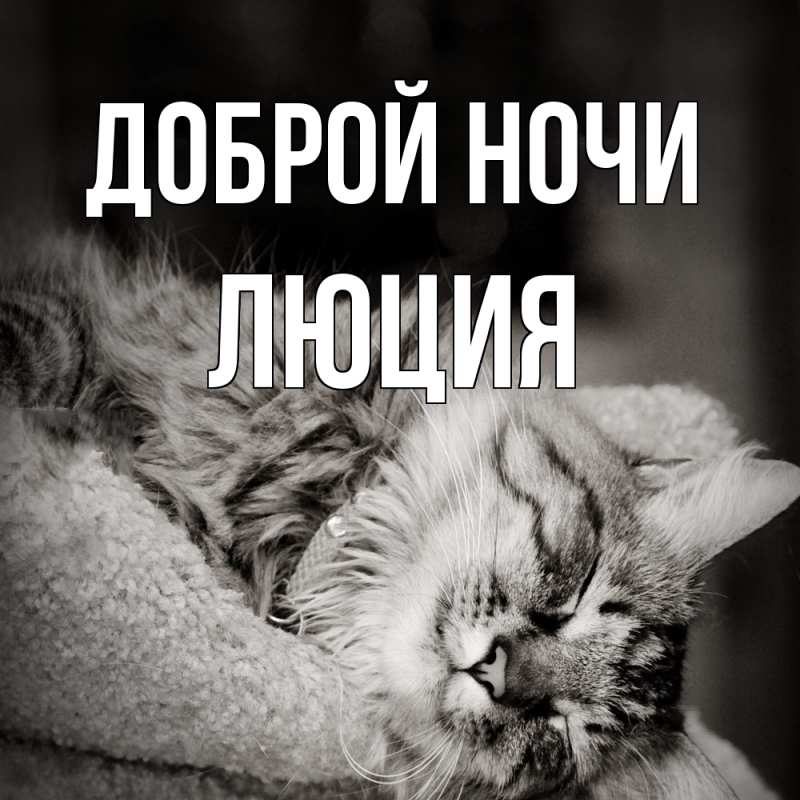 Картинка Доброй ночи, Люция