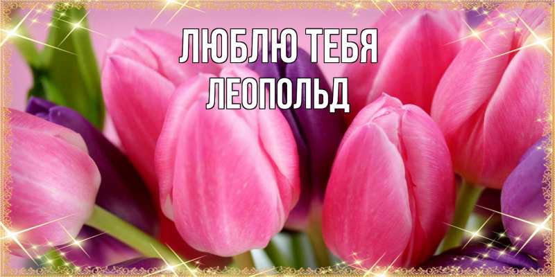 Картинка Люблю тебя, Леопольд