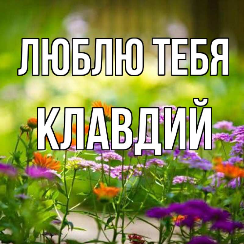 Картинка Люблю тебя, Клавдий