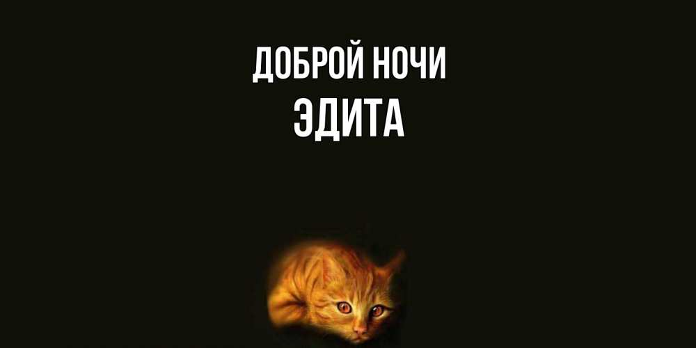 Открытка на каждый день с именем, Эдита Доброй ночи кот Прикольная открытка с пожеланием онлайн скачать бесплатно 