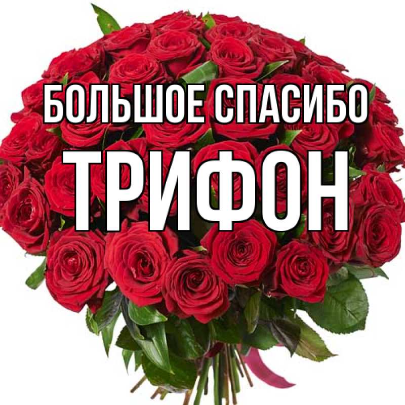Картинка Большое спасибо, Трифон