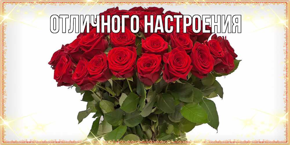 Открытка на каждый день с именем, Радосвета Люблю тебя поздравляю с 8 марта Прикольная открытка с пожеланием онлайн скачать бесплатно 