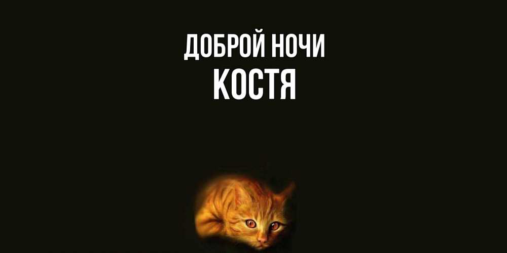 Открытка на каждый день с именем, Костя Доброй ночи кот Прикольная открытка с пожеланием онлайн скачать бесплатно 