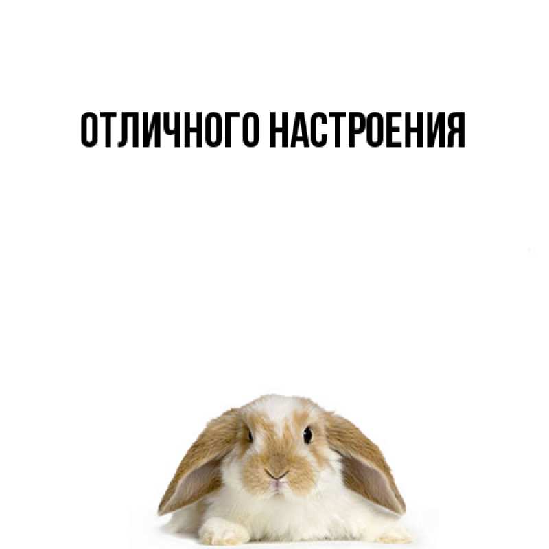 Картинка Удачи тебе, Радосвета