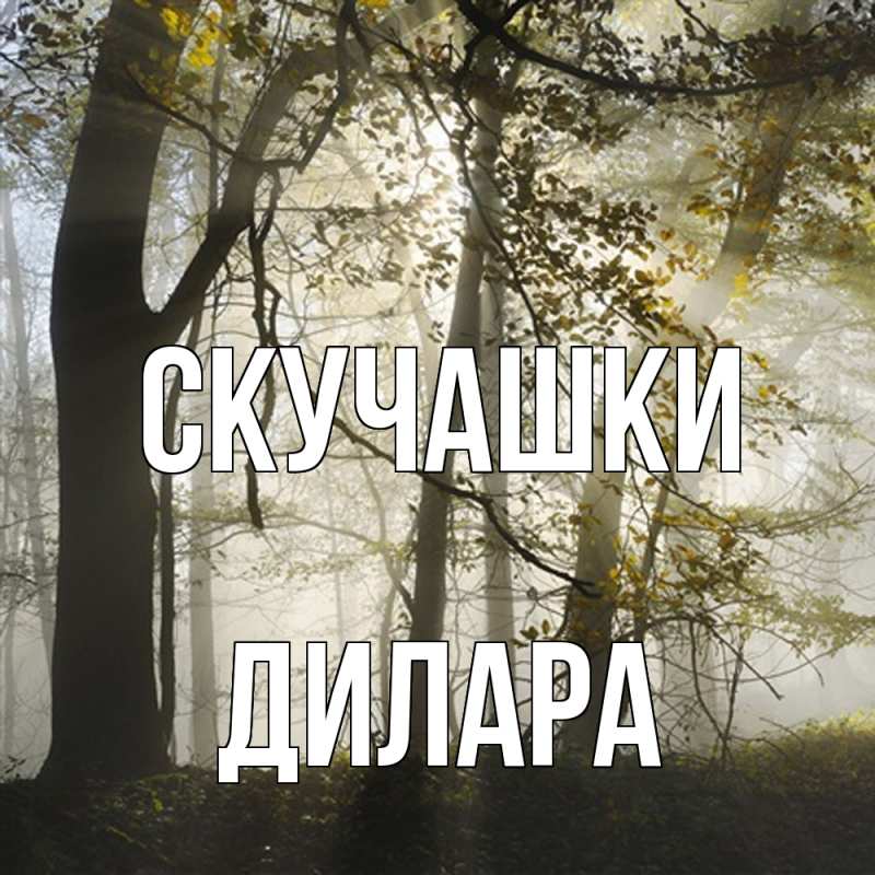 Картинка Скучашки, Дилара