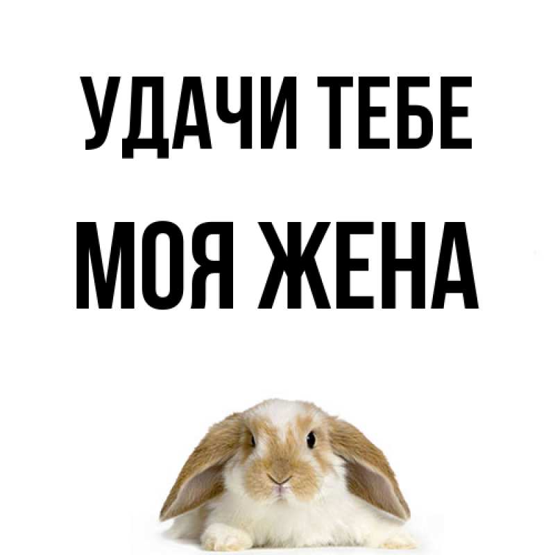 Открытка с именем, Моя жена, Удачи тебе