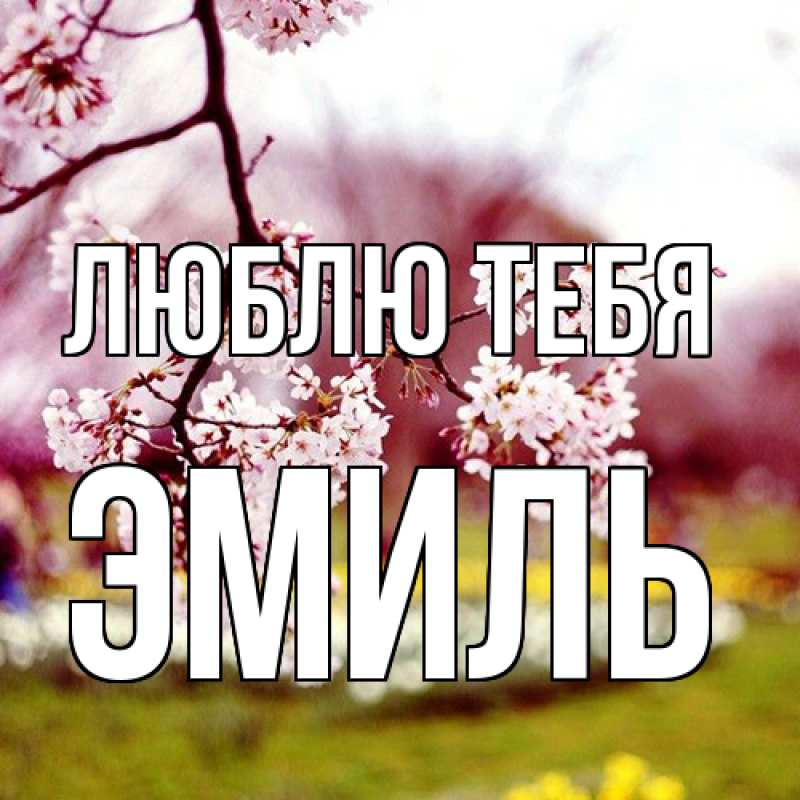 Картинка Люблю тебя, Эмиль