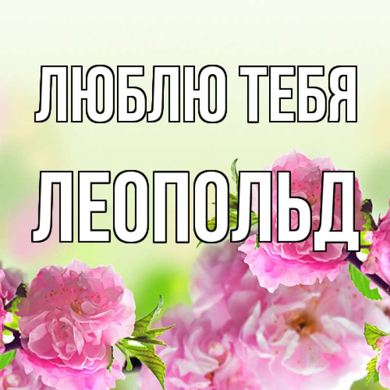 Картинка Люблю тебя, Леопольд