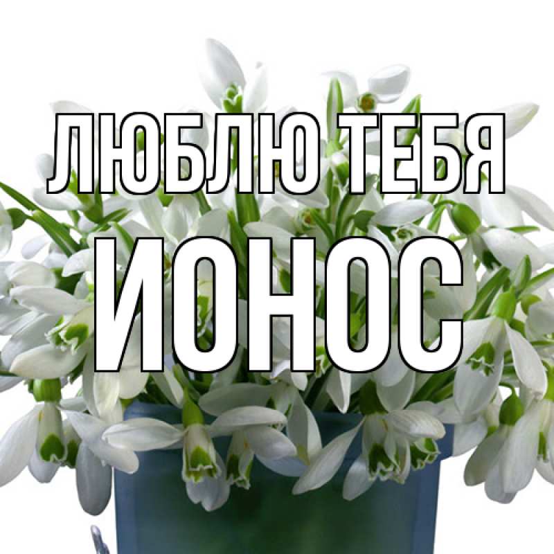 Картинка Люблю тебя, Ионос