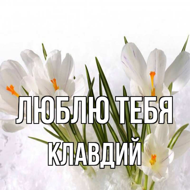 Картинка Люблю тебя, Клавдий