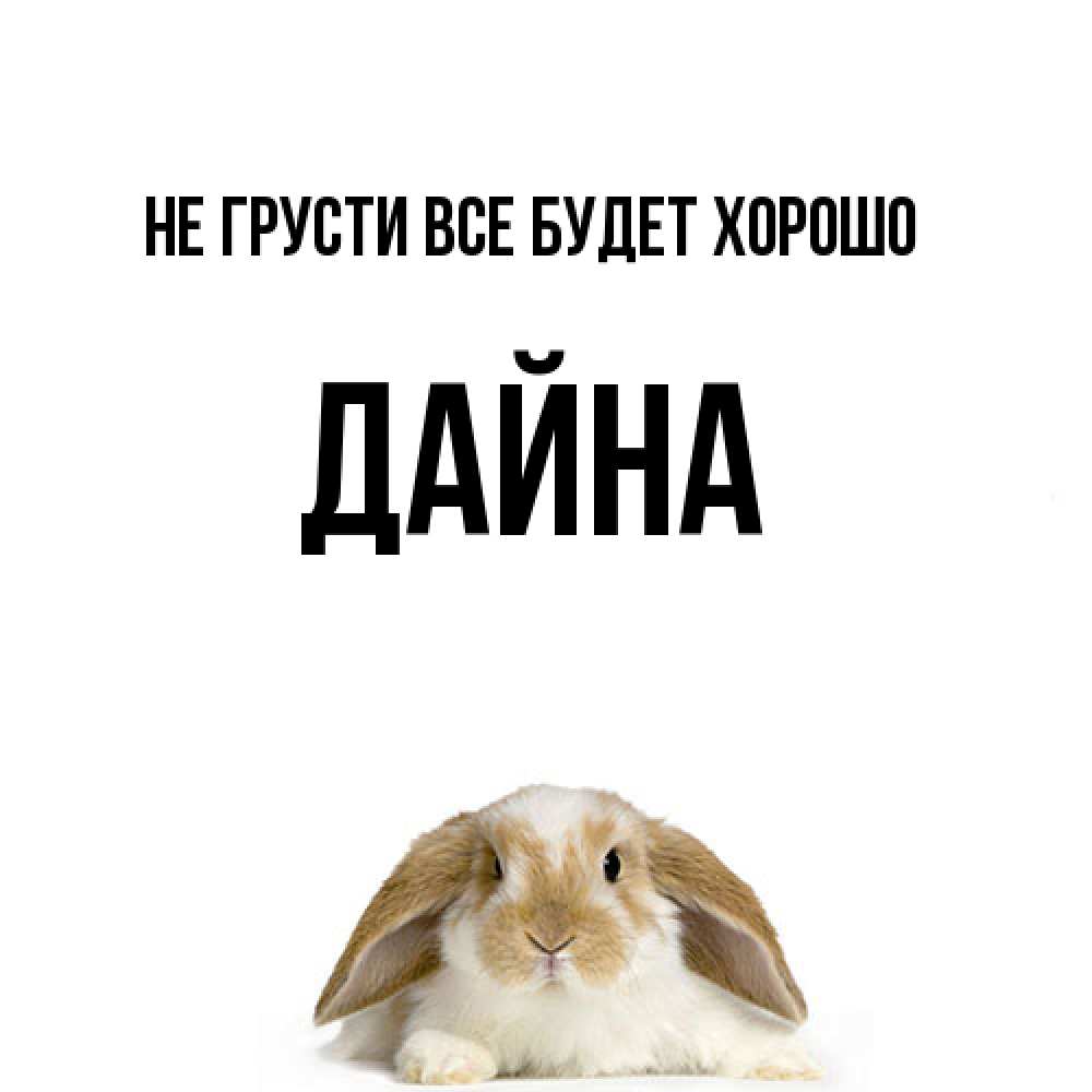 Открытка на каждый день с именем, Дайна Не грусти все будет хорошо коричнево белый заяц с большими ушками Прикольная открытка с пожеланием онлайн скачать бесплатно 