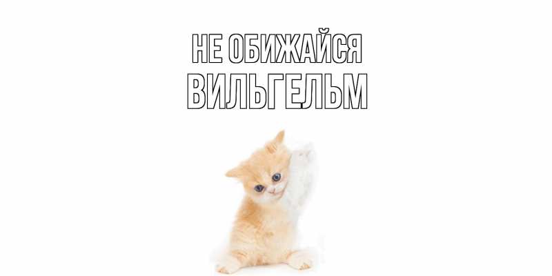 Картинка Не обижайся, Вильгельм