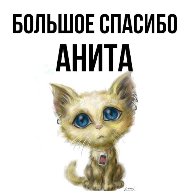 Картинка Большое спасибо, Анита