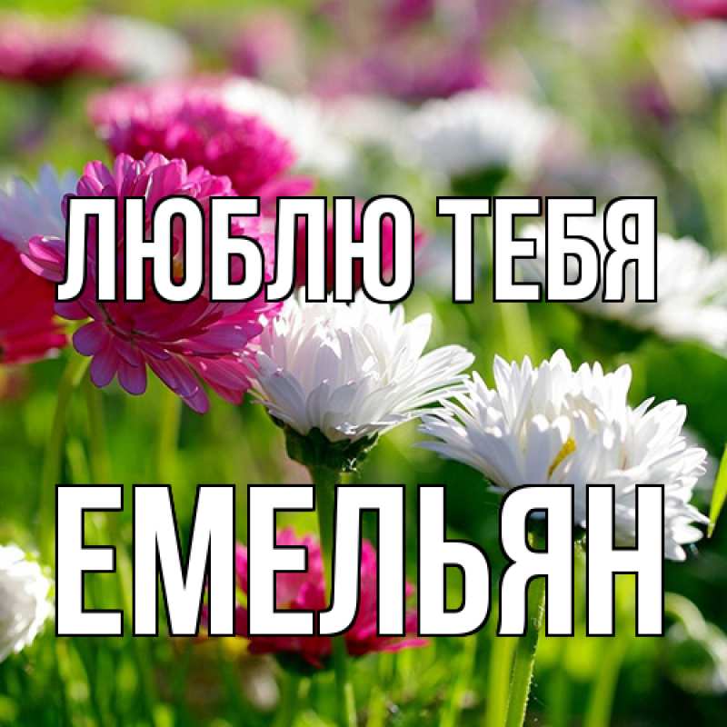 Открытка с именем, Емельян, Люблю тебя