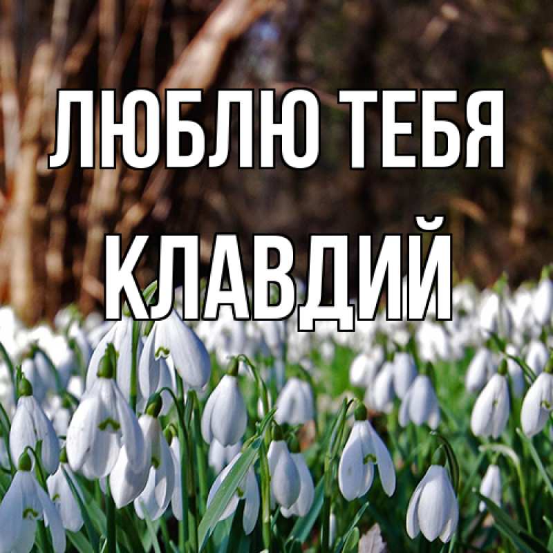 Картинка Люблю тебя, Клавдий