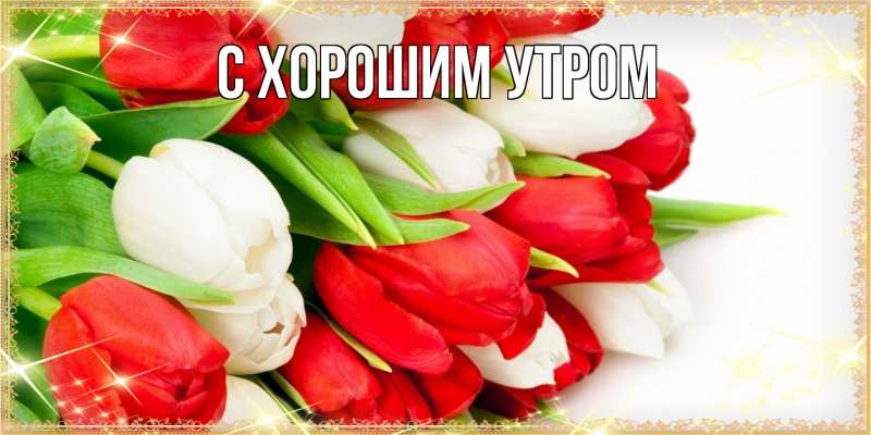 Картинка Люблю тебя, Петр