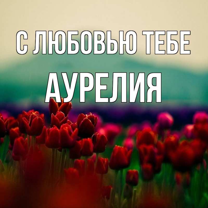 Картинка С любовью тебе, Аурелия