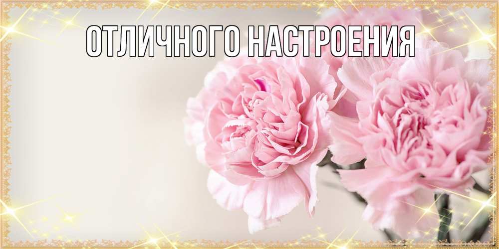 Открытка на каждый день с именем, Радосвета Люблю тебя открытка с розовыми цветами в рамочке с подписью на 8 марта Прикольная открытка с пожеланием онлайн скачать бесплатно 