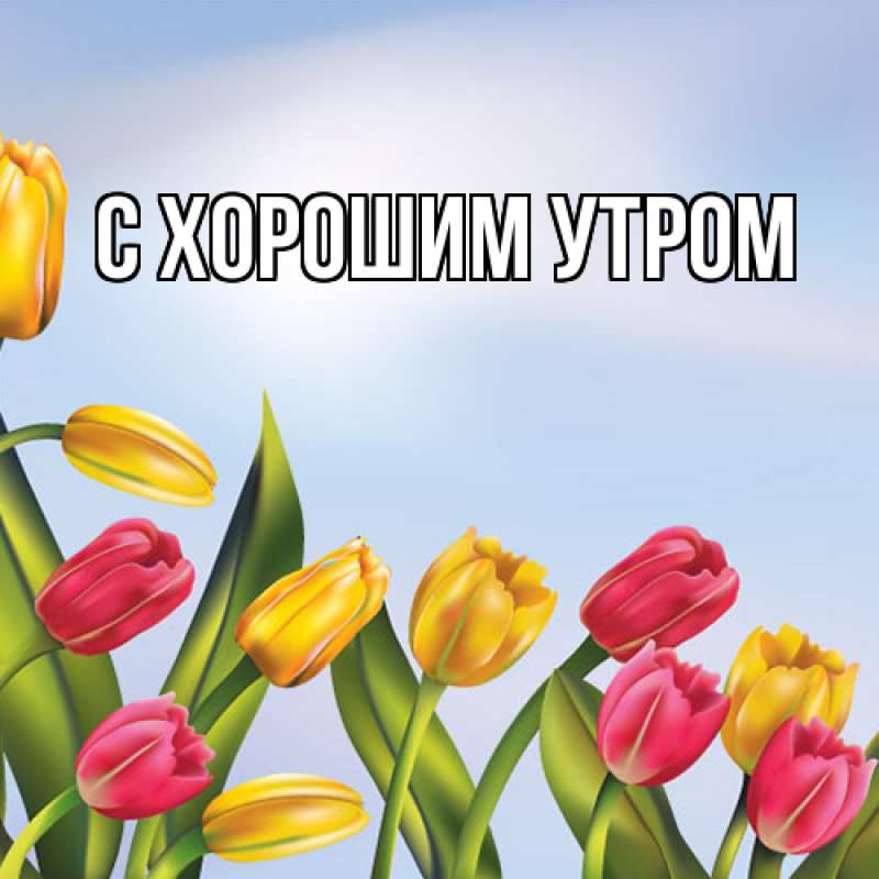 Картинка Люблю тебя, Мира