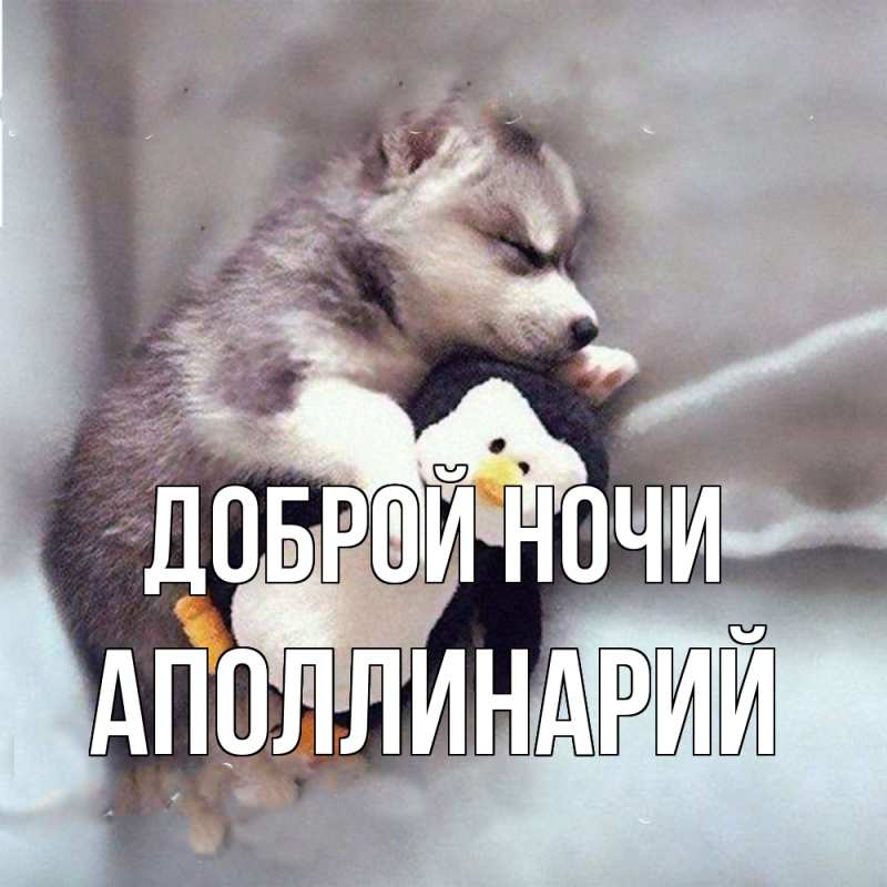 Картинка Доброй ночи, Аполлинарий