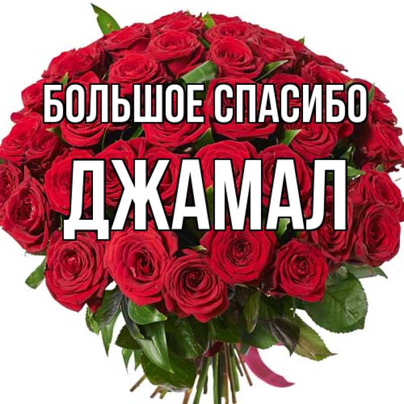 Картинка Большое спасибо, Джамал