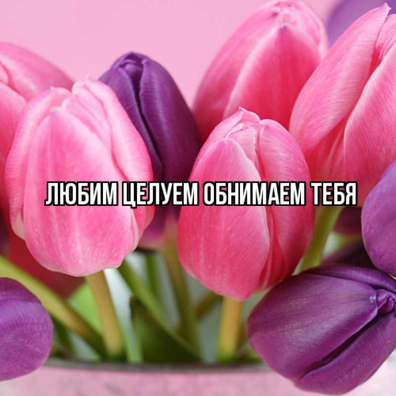 Картинка Люблю тебя, Ненаглядный мой