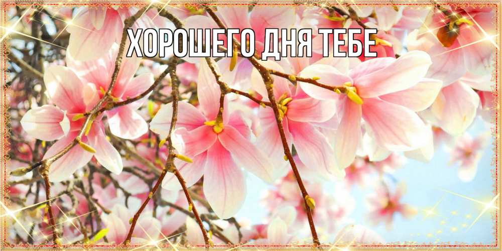 Открытка на каждый день с именем, Иветта Люблю тебя цветы деревьев на 8 марта Прикольная открытка с пожеланием онлайн скачать бесплатно 