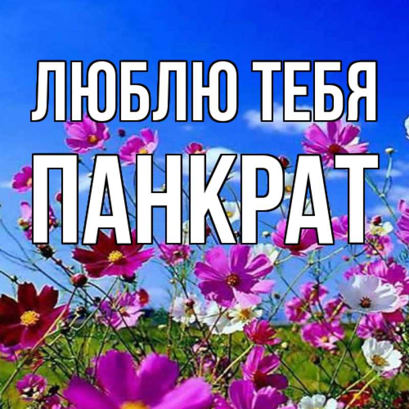 Открытка с именем, Панкрат, Люблю тебя