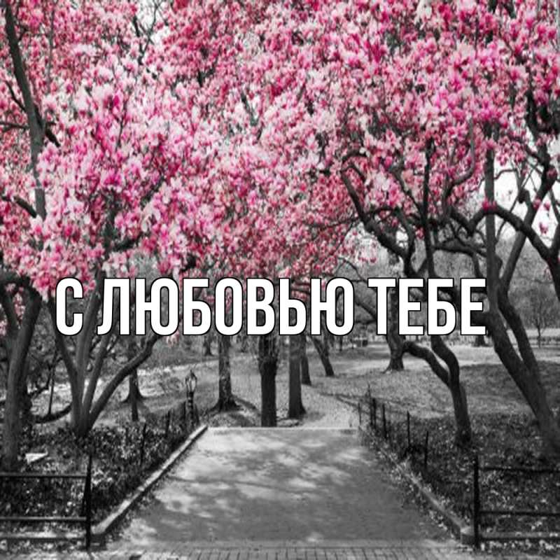 Картинка Обнимашки, Мила