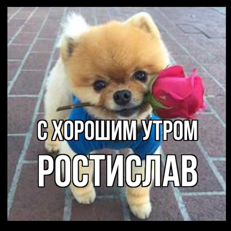 Картинка С хорошим утром, Ростислав
