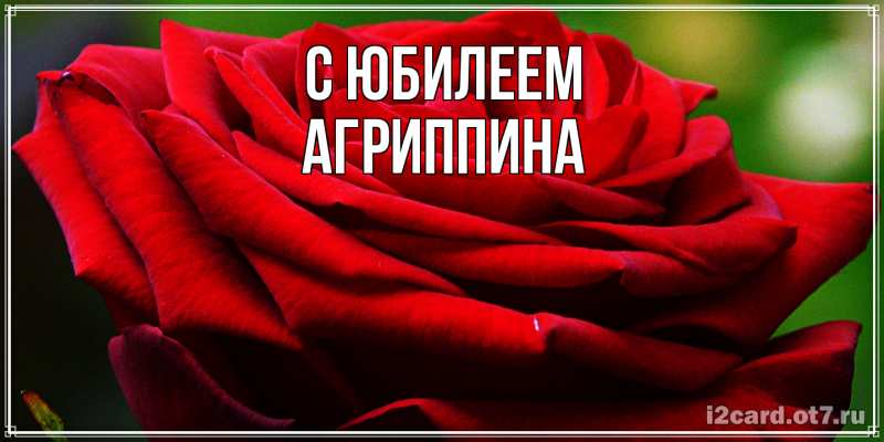 Картинка C юбилеем, Агриппина