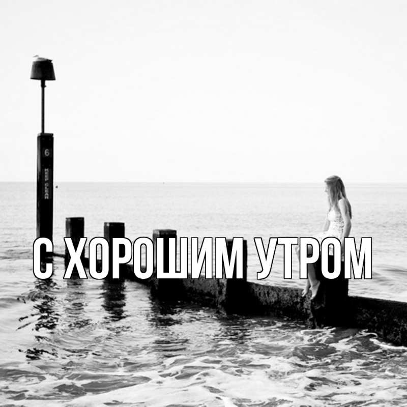 Картинка Скучашки, Дамира