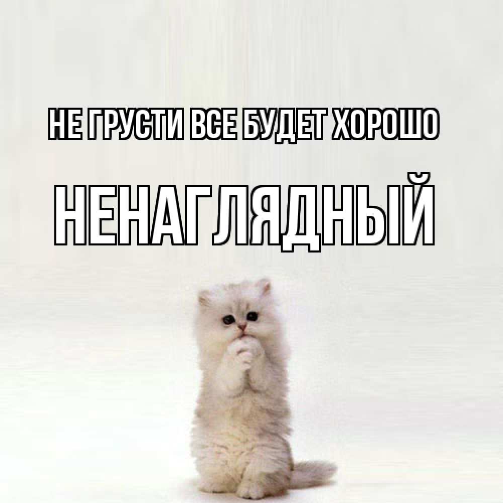 Открытка на каждый день с именем, Ненаглядный Не грусти все будет хорошо грустный кот Прикольная открытка с пожеланием онлайн скачать бесплатно 