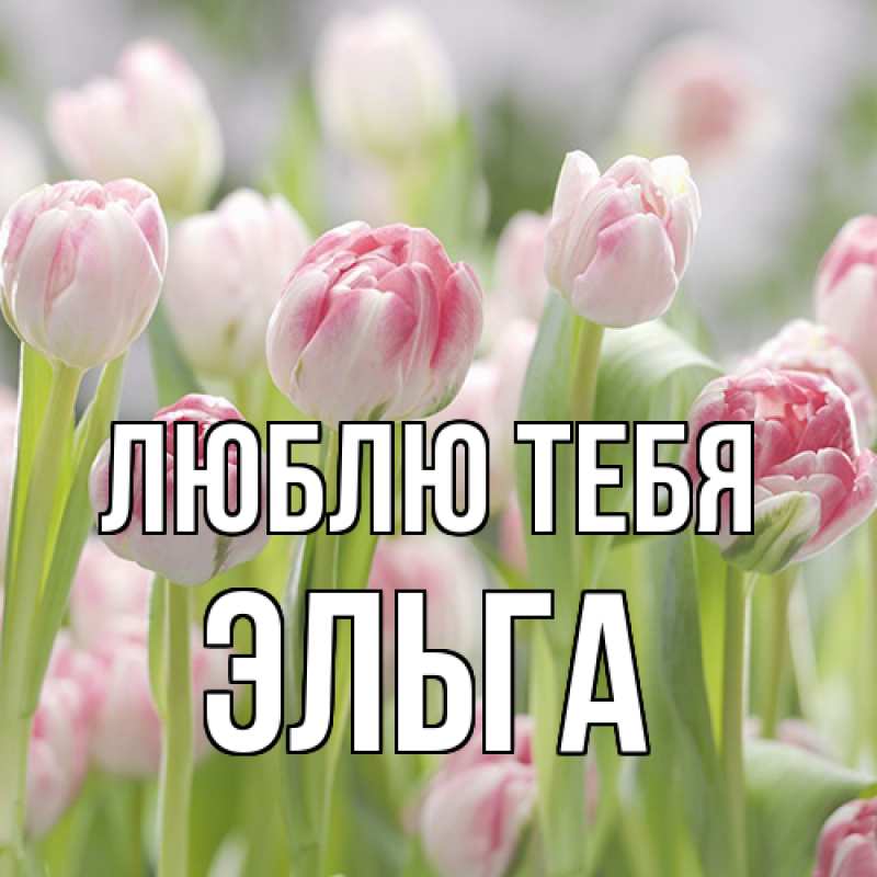 Картинка Люблю тебя, Эльга