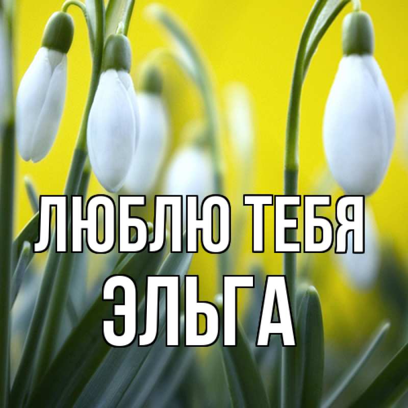 Картинка Люблю тебя, Эльга