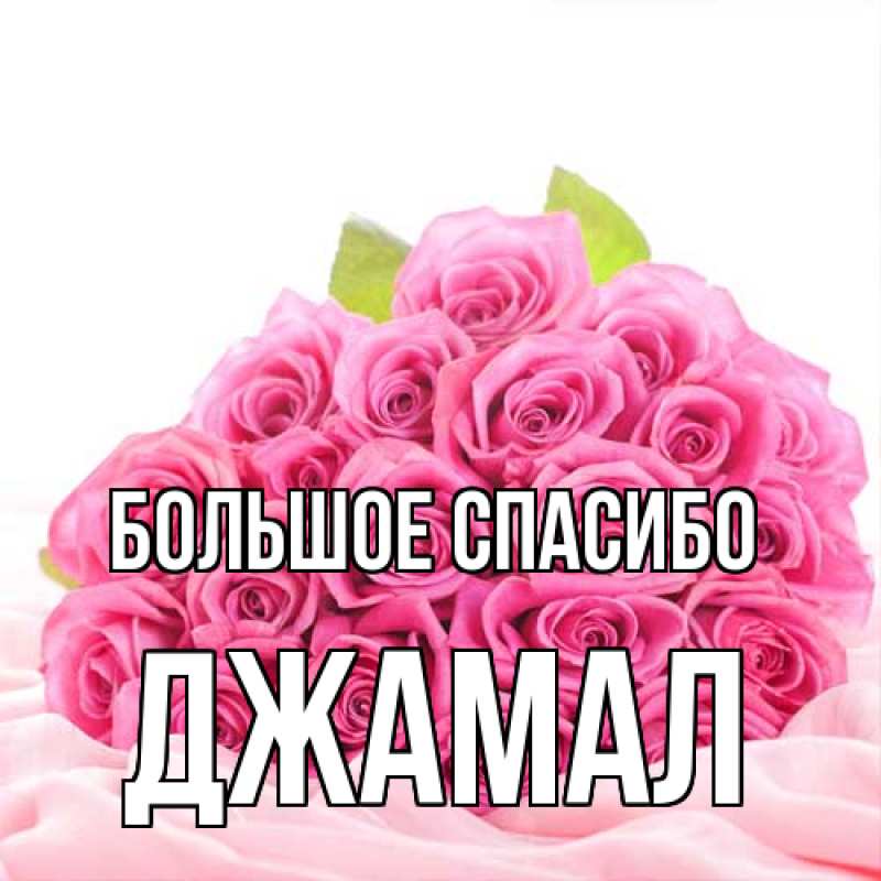 Картинка Большое спасибо, Джамал