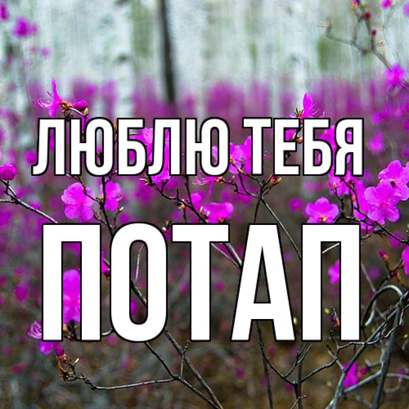 Открытка с именем, Потап, Люблю тебя