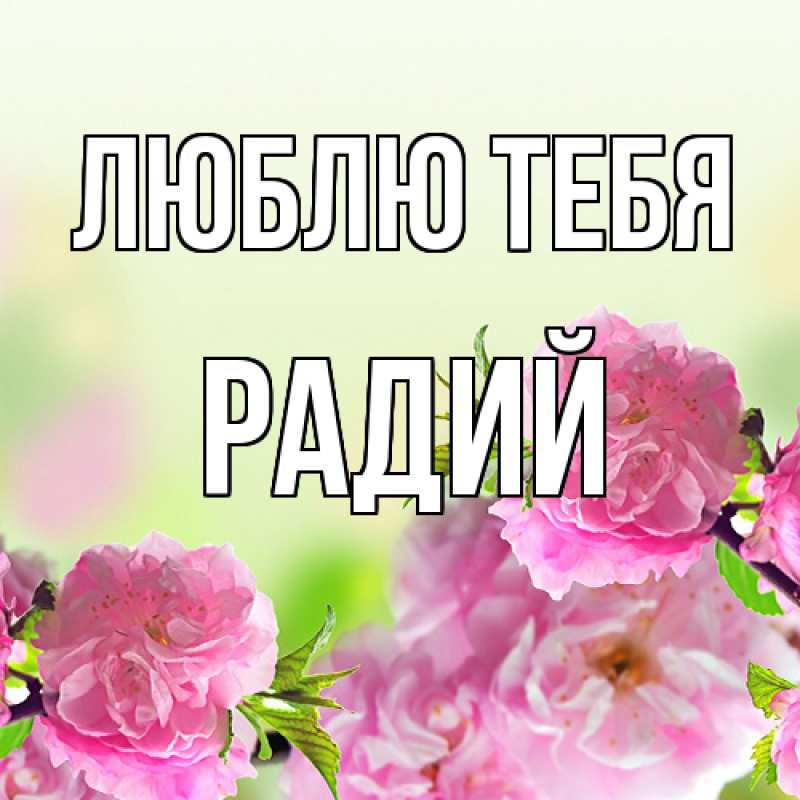 Картинка Люблю тебя, Радий