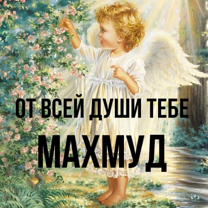 Картинка От всей души тебе, Махмуд